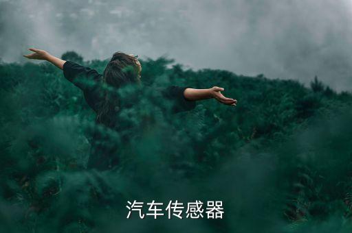 汽車(chē)傳感器