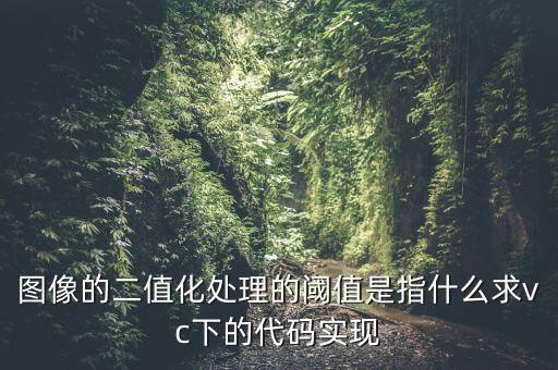二值化圖像，什么是二值圖像