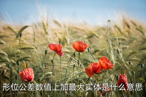形位公差數(shù)值上加最大實(shí)體是什么意思