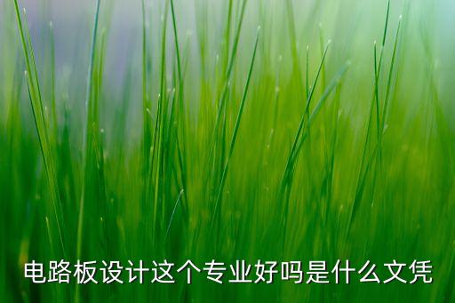 電路板設(shè)計這個專業(yè)好嗎是什么文憑