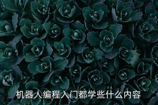 機(jī)器人編程入門都學(xué)些什么內(nèi)容