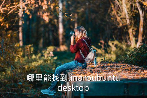 哪里能找到linaroubuntudesktop
