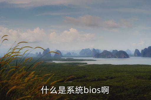 什么是系統(tǒng)bios啊