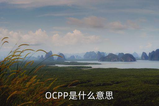 OCPP是什么意思