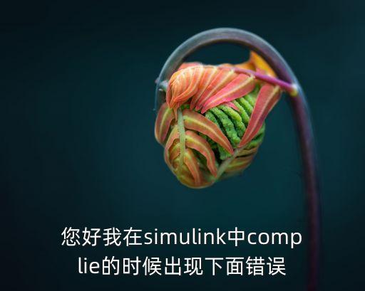您好我在simulink中complie的時候出現(xiàn)下面錯誤
