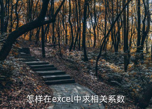 怎樣在excel中求相關(guān)系數(shù)
