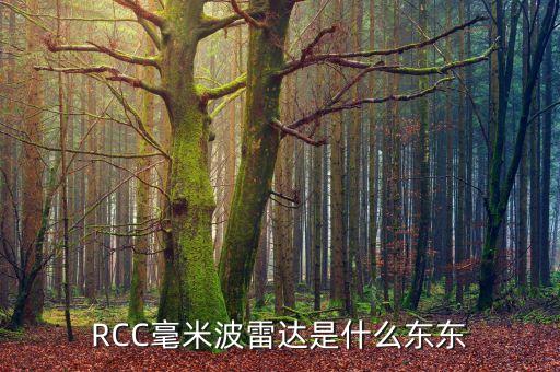 RCC毫米波雷達(dá)是什么東東