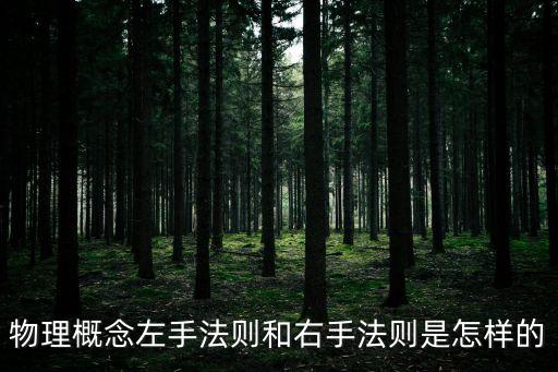 左手定則和右手定則圖解，高中物理須掌握的左右手定則及詳細(xì)解說