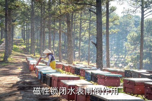 磁性鎖閉閥，磁性鎖閉閥是什么原理如圖