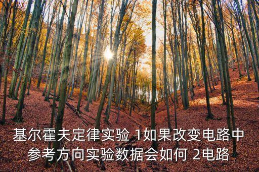 基爾霍夫定律實驗 1如果改變電路中參考方向?qū)嶒灁?shù)據(jù)會如何 2電路