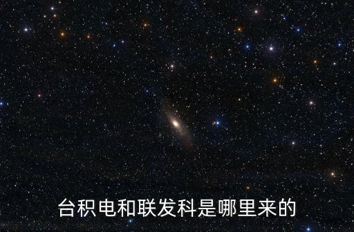tsmc，tsmc 這個標志啥意思