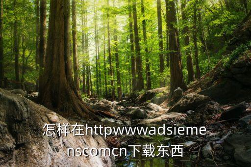 怎樣在httpwwwadsiemenscomcn下載東西