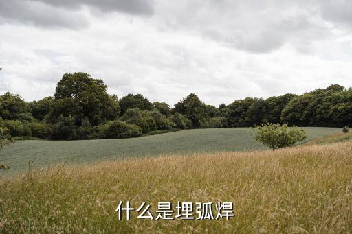 什么是埋弧焊