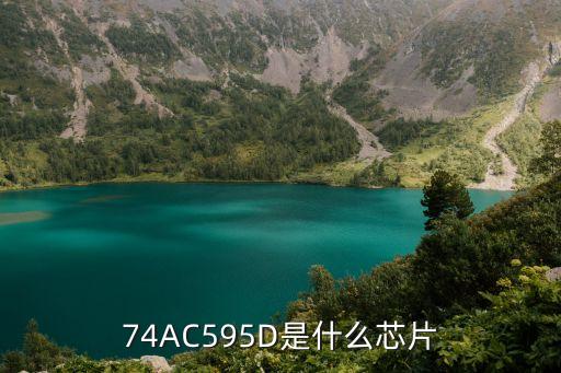 74AC595D是什么芯片