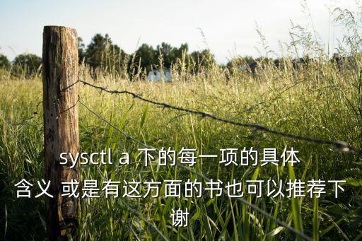 sysctl a 下的每一項(xiàng)的具體含義 或是有這方面的書也可以推薦下謝