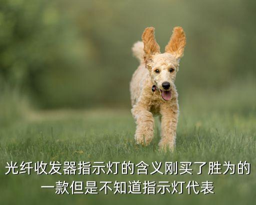 光纖收發(fā)器指示燈的含義剛買(mǎi)了勝為的一款但是不知道指示燈代表