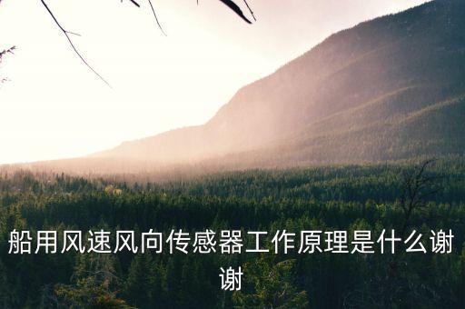 船用風(fēng)速風(fēng)向傳感器工作原理是什么謝謝