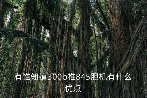 300b，圖片的大小為300kb是什么意思