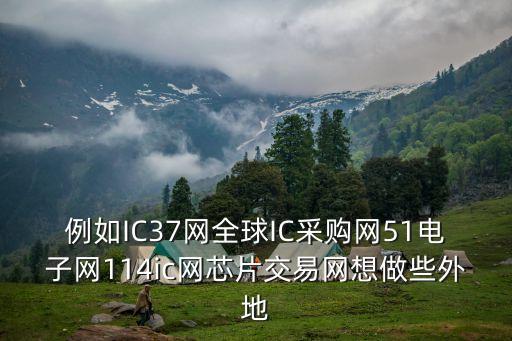 例如IC37網(wǎng)全球IC采購網(wǎng)51電子網(wǎng)114ic網(wǎng)芯片交易網(wǎng)想做些外地