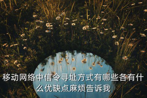 移動網(wǎng)絡(luò)中信令尋址方式有哪些各有什么優(yōu)缺點(diǎn)麻煩告訴我