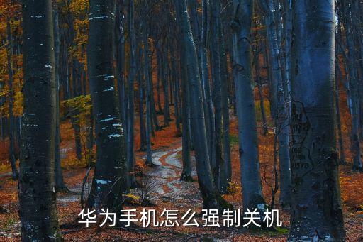 華為手機怎么強制關(guān)機