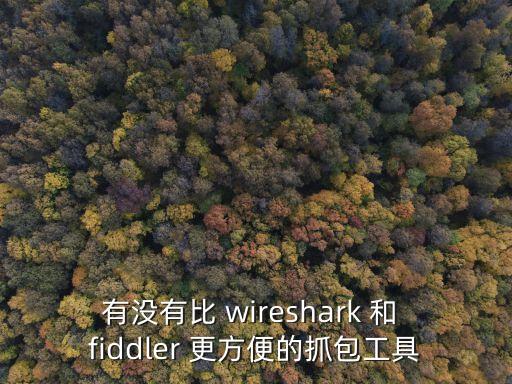 有沒有比 wireshark 和 fiddler 更方便的抓包工具