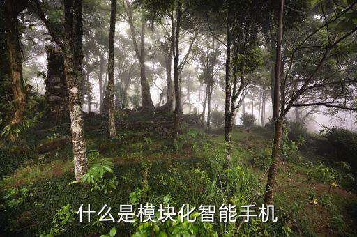 模塊化手機(jī)，moto 模塊手機(jī)是聯(lián)想生產(chǎn)的嗎