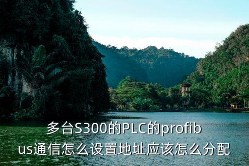 多臺(tái)S300的PLC的profibus通信怎么設(shè)置地址應(yīng)該怎么分配
