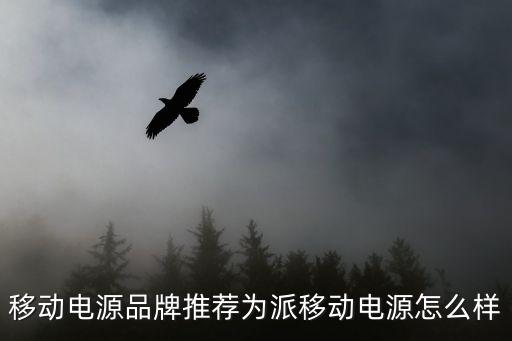 移動電源品牌推薦為派移動電源怎么樣