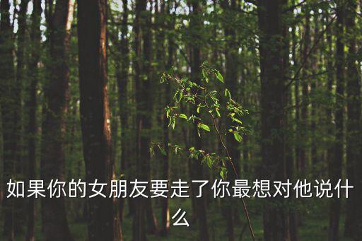 如果你的女朋友要走了你最想對(duì)他說什么