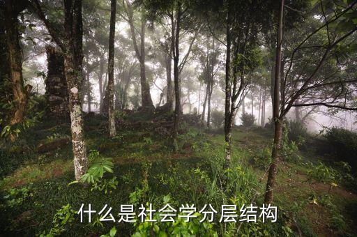 分層結構，建立比較合理的社會分層結構的辦法有哪些