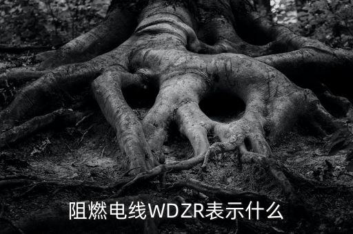 阻燃電線WDZR表示什么