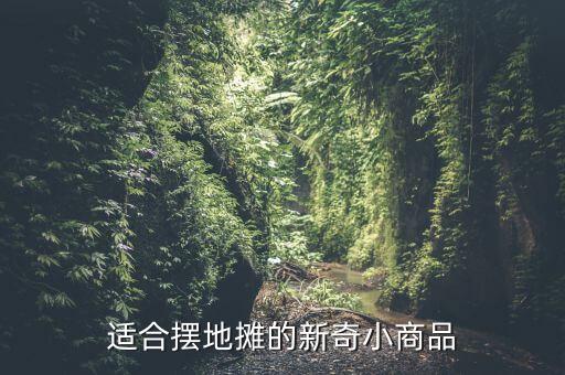 適合擺地攤的新奇小商品