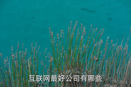 互聯(lián)網(wǎng)企業(yè)，全球最大的三個(gè)互聯(lián)網(wǎng)公司是什么