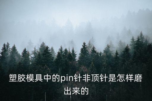 pin針，PIN針是什么