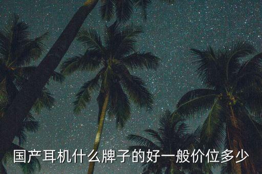 國(guó)產(chǎn)耳機(jī)什么牌子的好一般價(jià)位多少