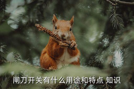 閘刀開關(guān)有什么用途和特點 知識