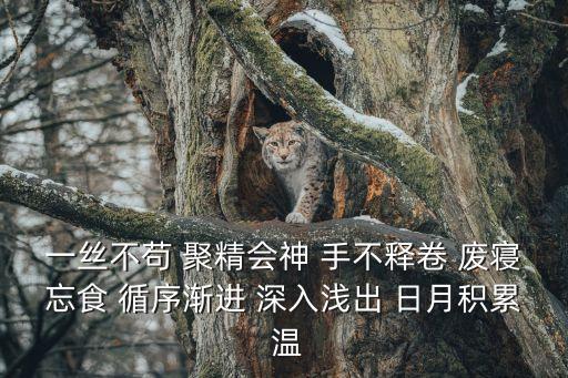 一絲不茍 聚精會神 手不釋卷 廢寢忘食 循序漸進 深入淺出 日月積累 溫