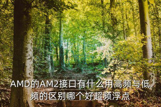 AMD的AM2接口有什么用高頻與低頻的區(qū)別哪個(gè)好超頻浮點(diǎn)