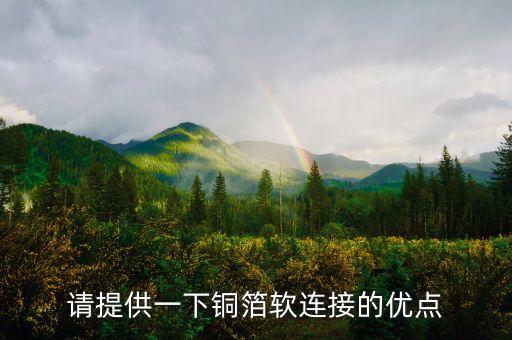 請?zhí)峁┮幌裸~箔軟連接的優(yōu)點