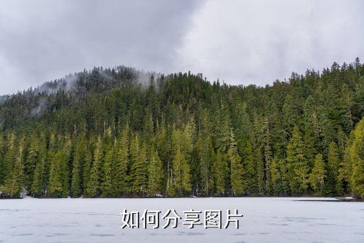 分享照片，如何分享圖片