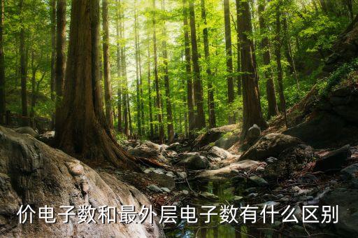價電子數和最外層電子數有什么區(qū)別