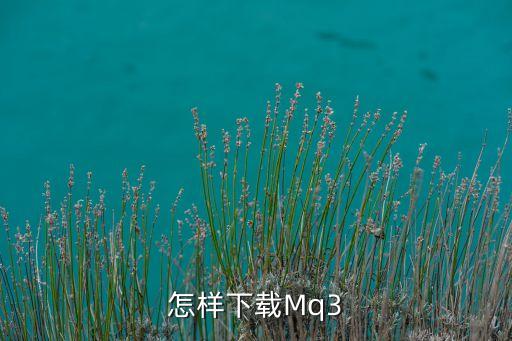 怎樣下載Mq3