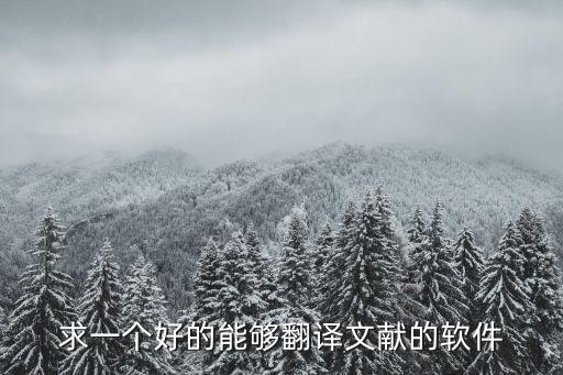 求一個(gè)好的能夠翻譯文獻(xiàn)的軟件