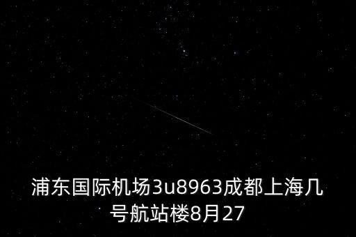 浦東國際機場3u8963成都上海幾號航站樓8月27