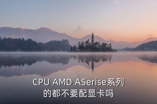 CPU AMD ASerise系列的都不要配顯卡嗎