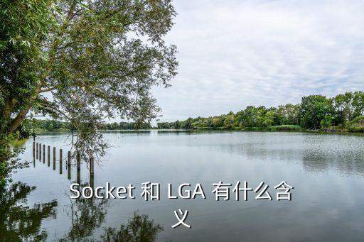 Socket 和 LGA 有什么含義