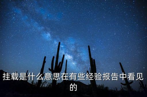 掛載是什么意思在有些經(jīng)驗(yàn)報(bào)告中看見(jiàn)的