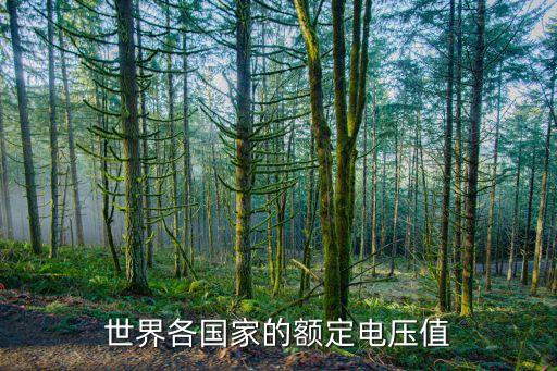 秘魯電壓，國(guó)內(nèi)的220v50hz電氣設(shè)備在秘魯能正常使用嗎秘魯?shù)氖?20v60hz