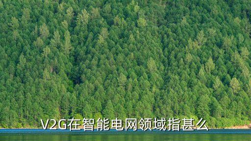 V2G在智能電網(wǎng)領(lǐng)域指甚么